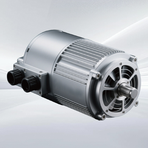 Dual vacuum motors