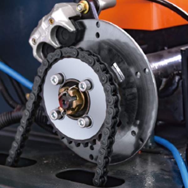 Rear wheel dual disc brakes